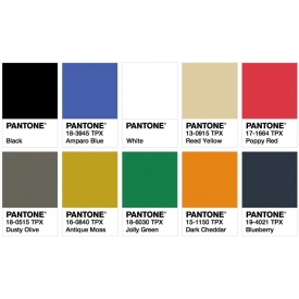 online store Theme color